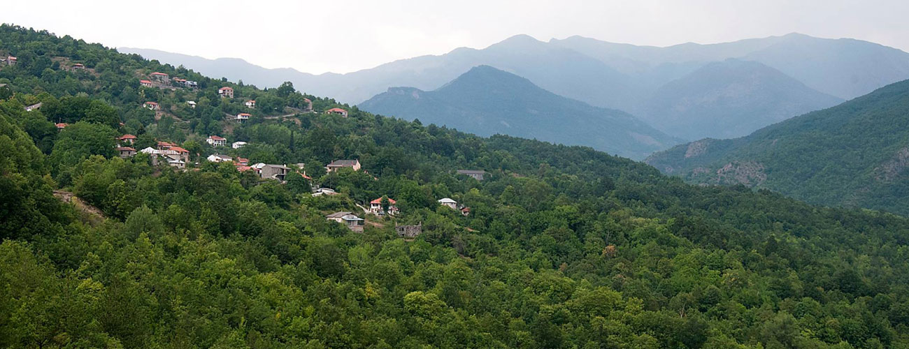 Βούρμπιανη Ενοικιαζόμενα Δωμάτια, Εστιατόριο