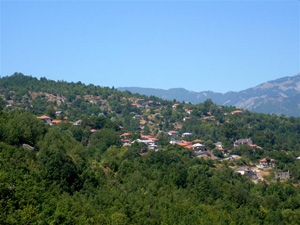 Βούρμπιανη